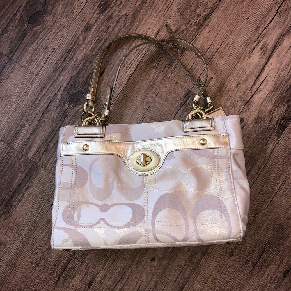 🆕 Coach Carryall Bag